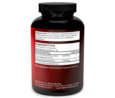 Glucosamine MSM